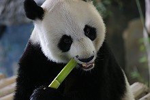 thIMG_8214