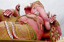 th_IMG_0597