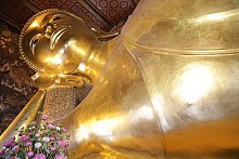 th_IMG_4221